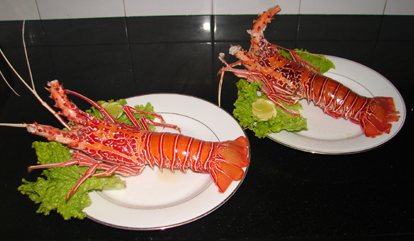 Villa Kusum Foods