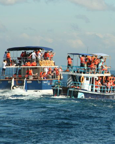 Whale and/or Dolphin Watching Sri Lanka