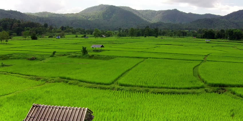 Villa Kusum Tours, Trips & Airport Transfers